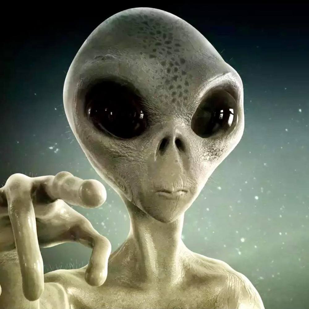 Meet your Posher, Laurie tex